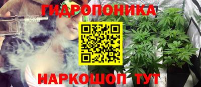 прущие грибы Бугуруслан