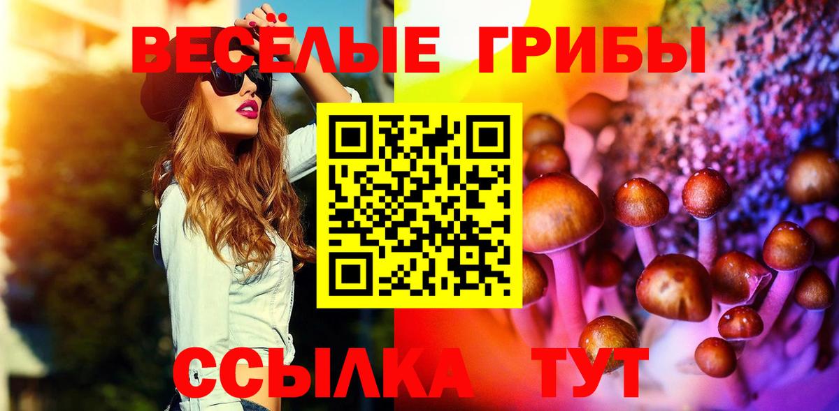 Галлюциногенные грибы Magic Shrooms  Вход с VPN  Черногорск 
